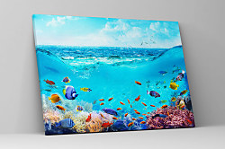 Obraz Morské ryby v mori 1515